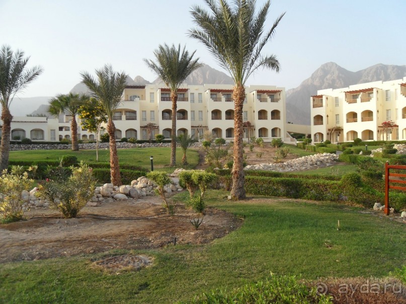 Таба - не табу