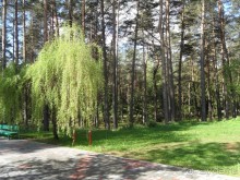 фото Белая Русь