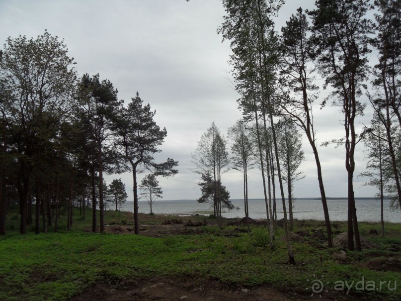 Белая Русь на Нарочи