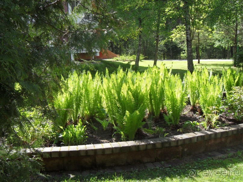 Белая Русь на Нарочи