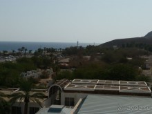 фото Жемчужина