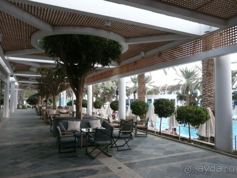 фото Жемчужина