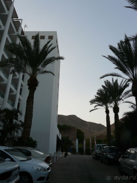 фото Жемчужина