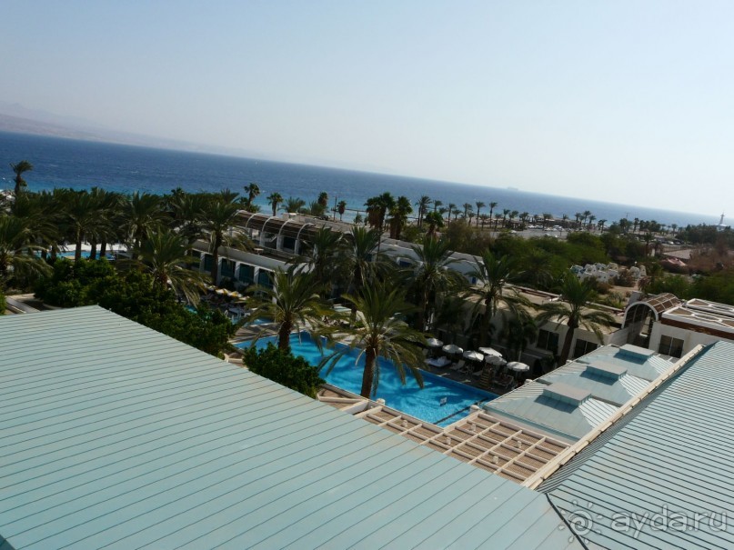 фото Жемчужина