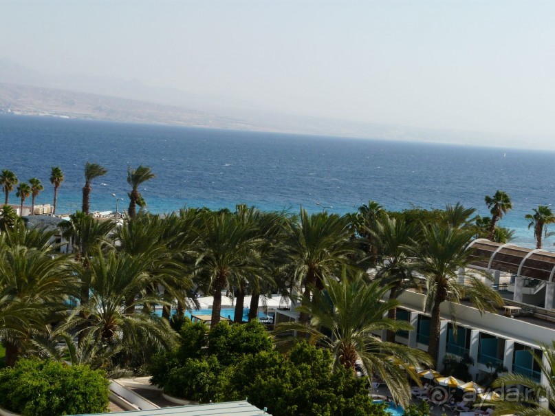 фото Жемчужина