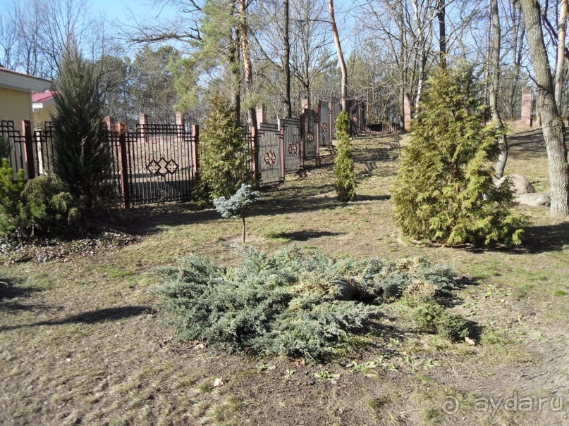 Санаторий на берегу Днепра