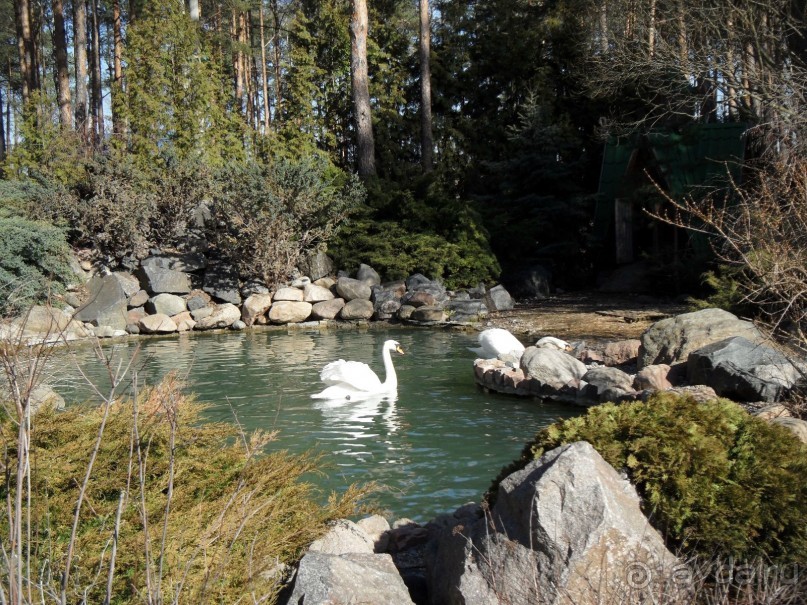 Санаторий на берегу Днепра