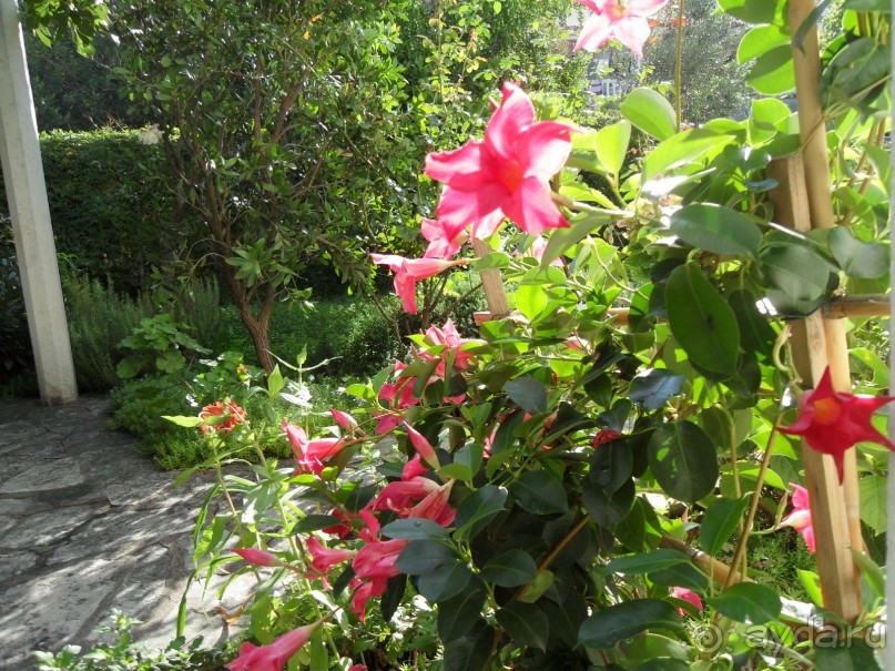 На вилле в Рафайловичах