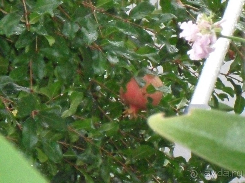 На вилле в Рафайловичах