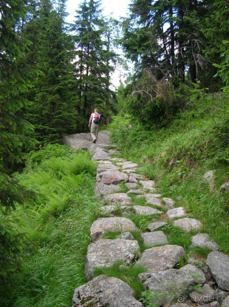 Небольшое путешествие в приятную страну