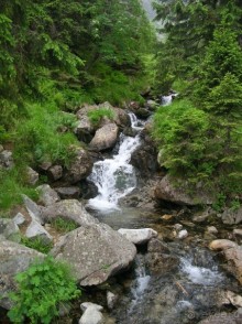 Небольшое путешествие в приятную страну
