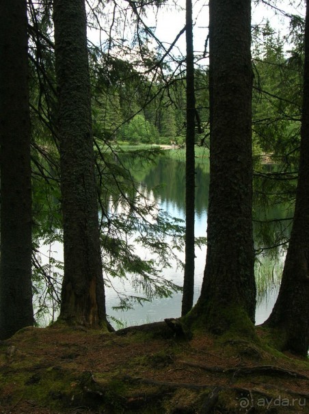 Небольшое путешествие в приятную страну