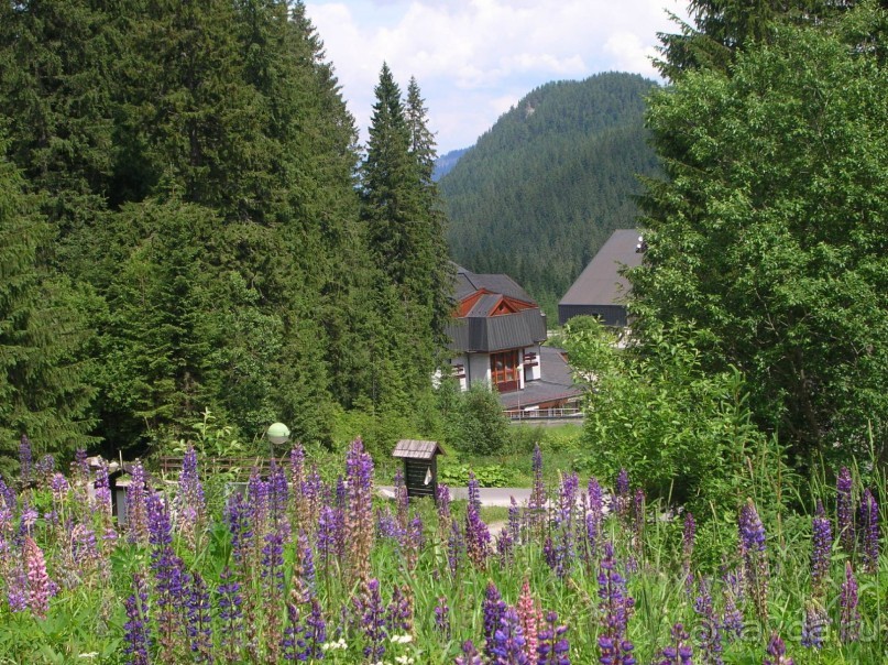 Небольшое путешествие в приятную страну