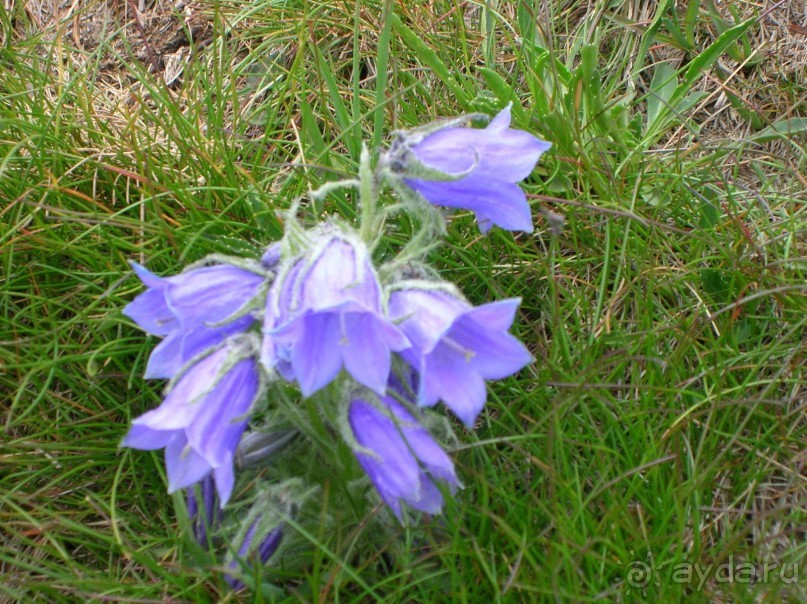 Небольшое путешествие в приятную страну