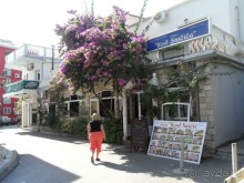 Вкусный Зайчич