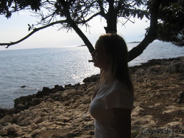 Красивая природа