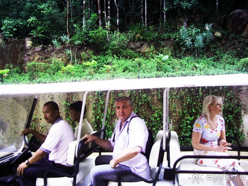 Остров  Реданг 