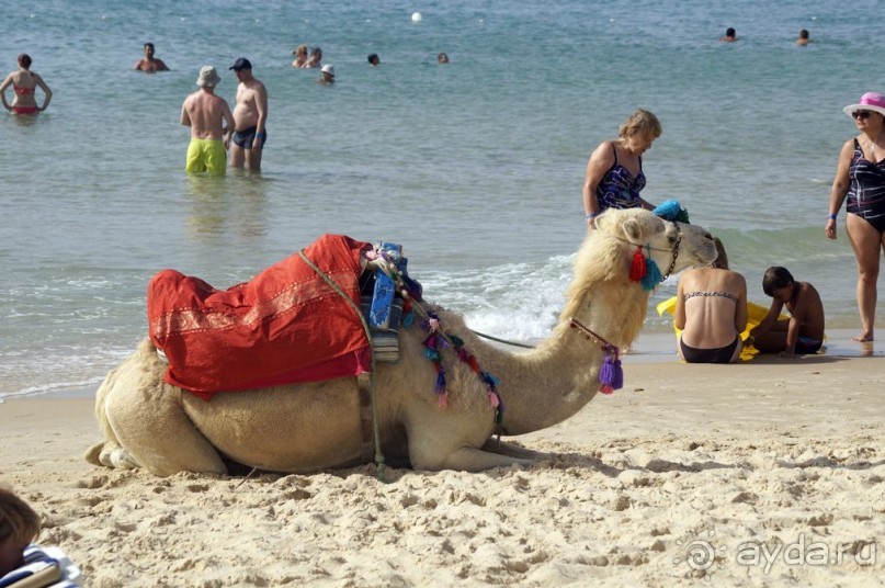 Нигде я так не мерз, как в этой Африке!