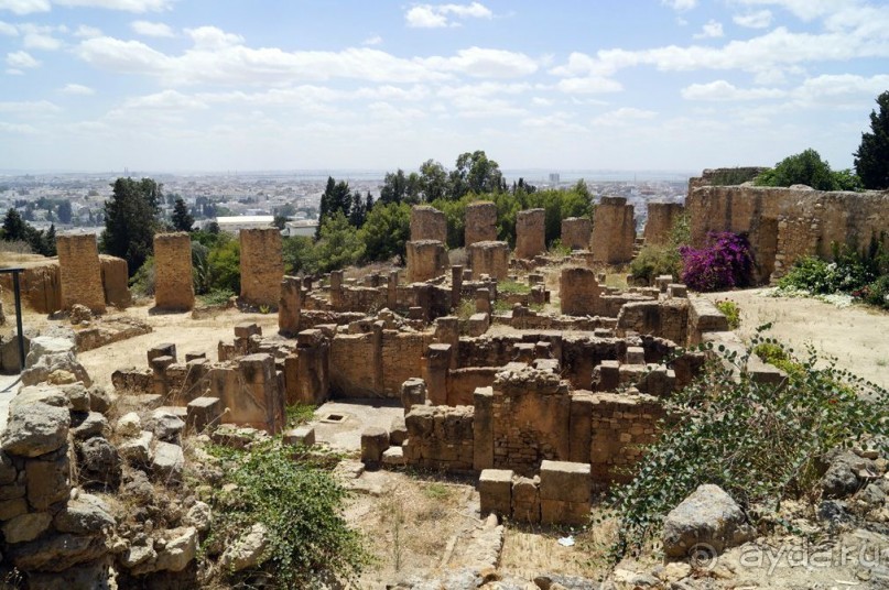 Нигде я так не мерз, как в этой Африке!