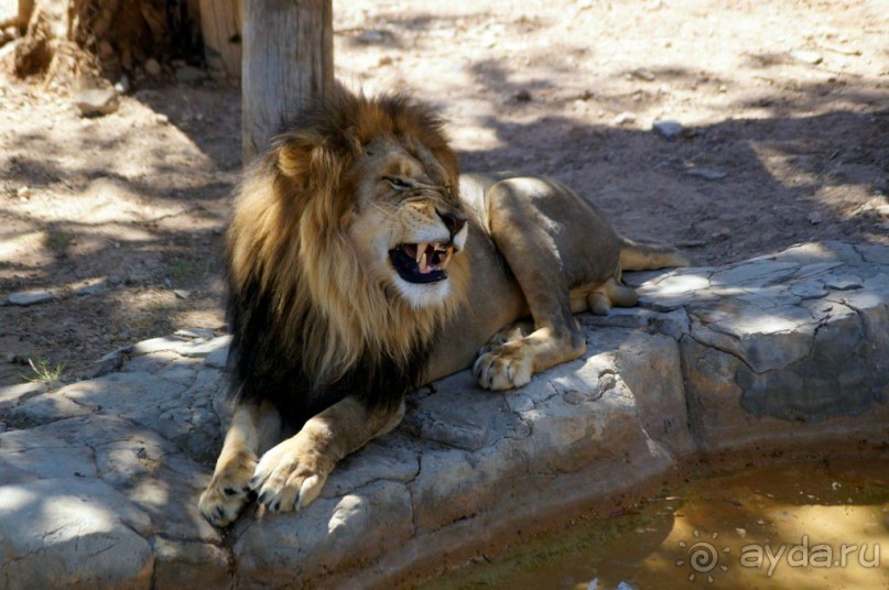 Нигде я так не мерз, как в этой Африке!