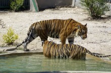 Нигде я так не мерз, как в этой Африке!