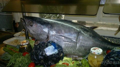 Нигде я так не мерз, как в этой Африке!