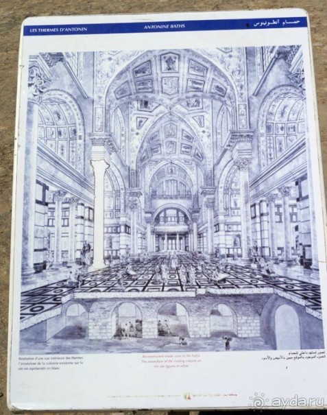 Нигде я так не мерз, как в этой Африке!