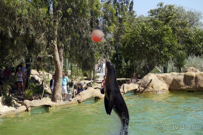 Нигде я так не мерз, как в этой Африке!