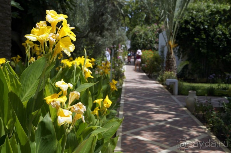 Нигде я так не мерз, как в этой Африке!