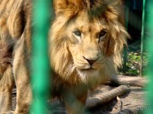 Авто путешествие в Сургут на басике!