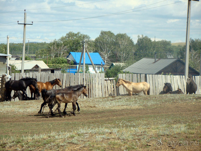 Авто путешествие в Сургут на басике!
