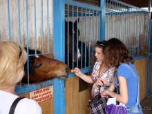 Авто путешествие в Сургут на басике!