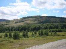 Авто путешествие в Сургут на басике!