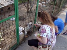 Авто путешествие в Сургут на басике!