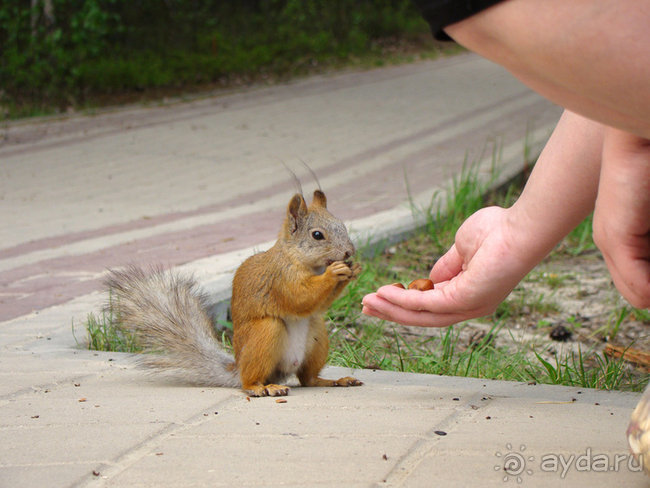 Авто путешествие в Сургут на басике!