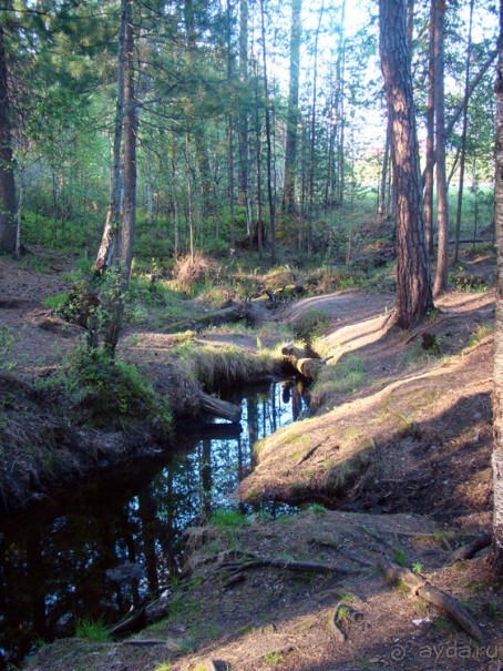 Авто путешествие в Сургут на басике!