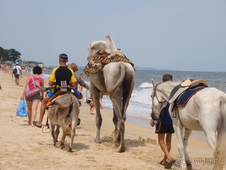 Хождение на два моря.