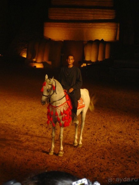 Альбом отзыва "Собираетесь в Египет? - Решать вам!"