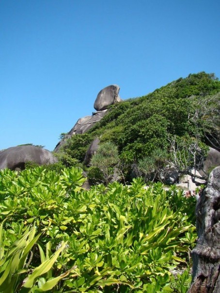 Альбом отзыва "Мы были в РАЮ!"