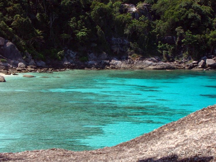 Альбом отзыва "Мы были в РАЮ!"