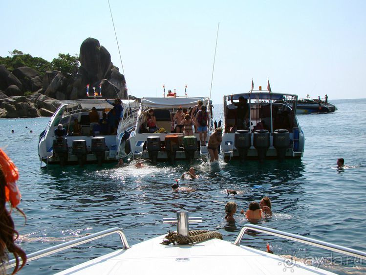 Альбом отзыва "Мы были в РАЮ!"