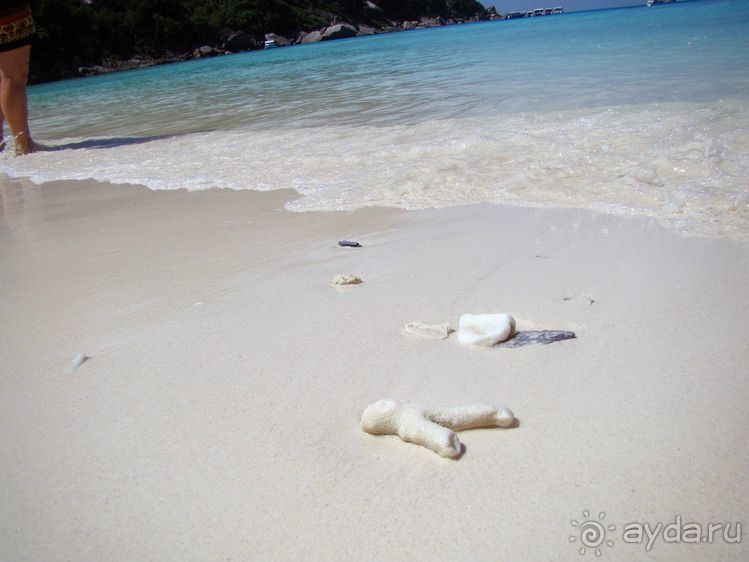 Альбом отзыва "Мы были в РАЮ!"