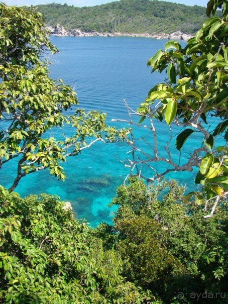 Альбом отзыва "Мы были в РАЮ!"