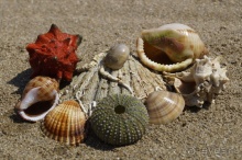 В Греции – есть все, хотя…