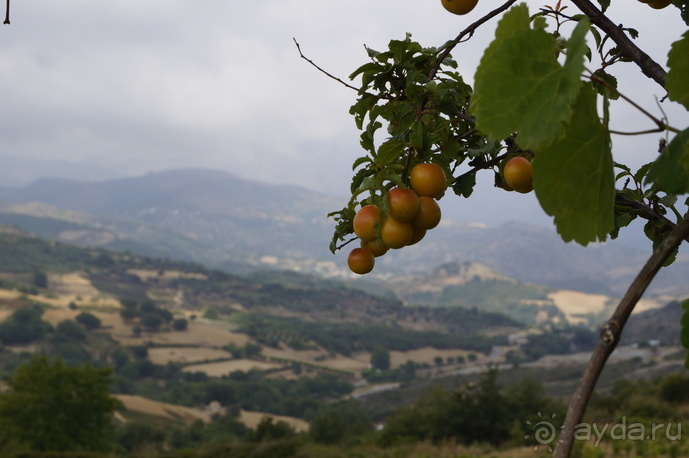 В Греции – есть все, хотя…