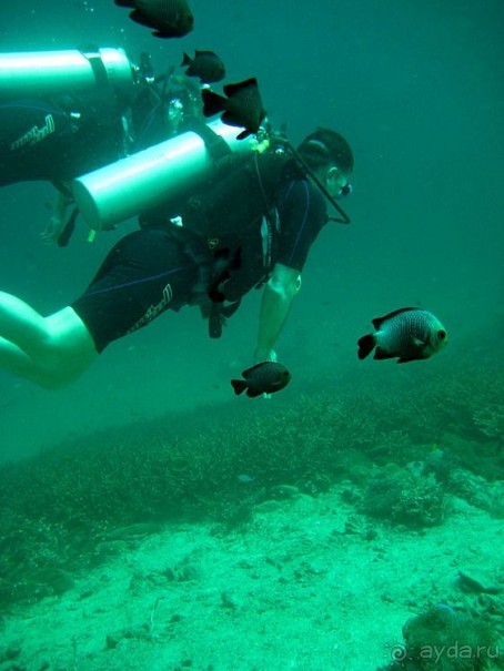 Альбом отзыва "Вас манят приключения и романтика? Нам по пути!"