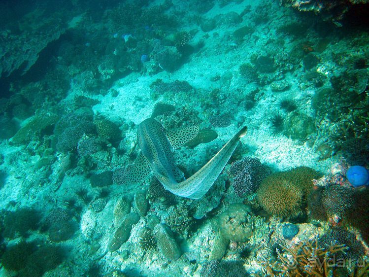 Альбом отзыва "Вас манят приключения и романтика? Нам по пути!"