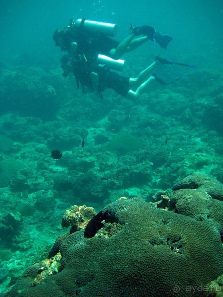 Альбом отзыва "Вас манят приключения и романтика? Нам по пути!"