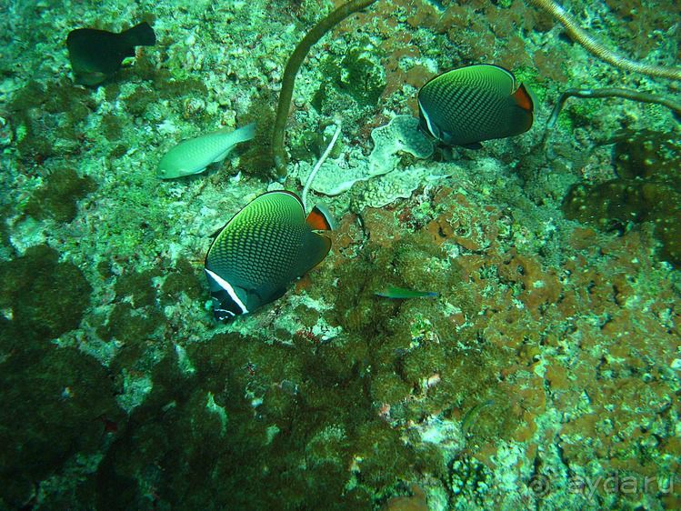 Альбом отзыва "Вас манят приключения и романтика? Нам по пути!"