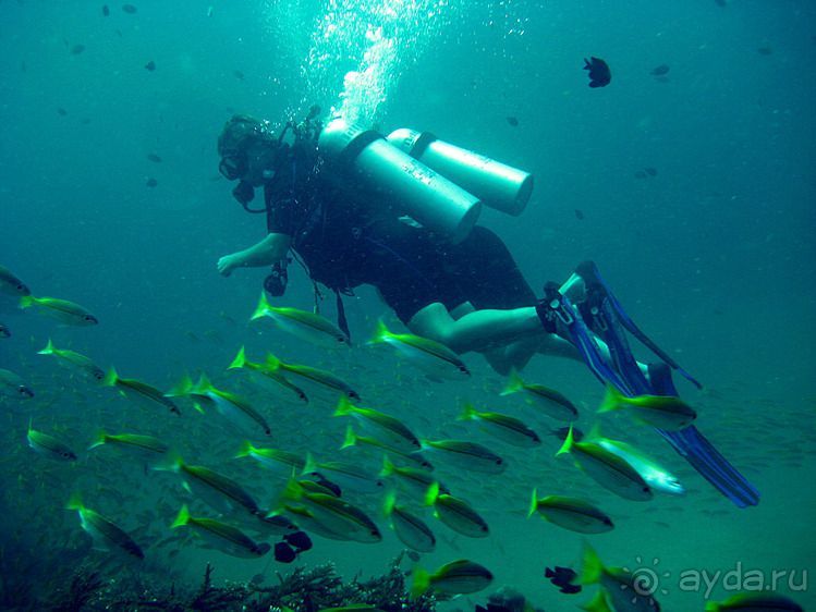 Альбом отзыва "Вас манят приключения и романтика? Нам по пути!"